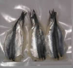See more anchovie images