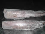 See more antarctic Whiting images