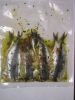 Anchovies 1.JPG