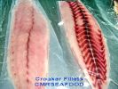 Corvina_001.jpg