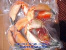 Crabs_claw_2.jpg