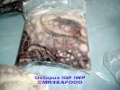 DSCF1370.jpg