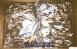 Frozen Limpets 1.jpg