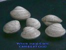 Hard_Clams_Whole.jpg