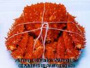 KingCrab.jpg
