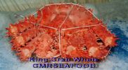 KingCrab1.jpg