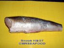 Snook_H_G.jpg