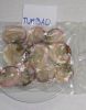Soft Clams Half Shell.jpg