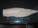 Whiting_Fillet.jpg