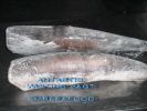 Whiting_H_G_01.jpg