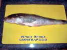 Whole_Snook.jpg